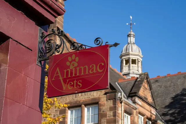 Animac Vets (Web) 013