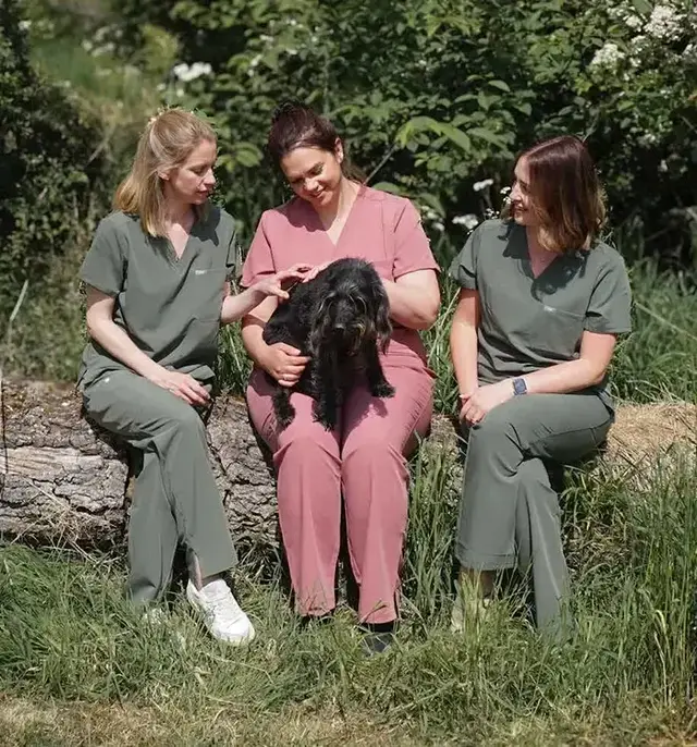 nova staff sat on log in scrubs with dog on knee
