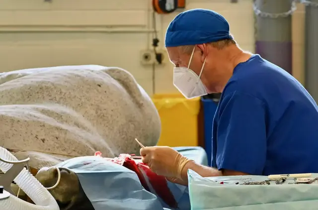 Outstanding care through innovation, teamwork and service