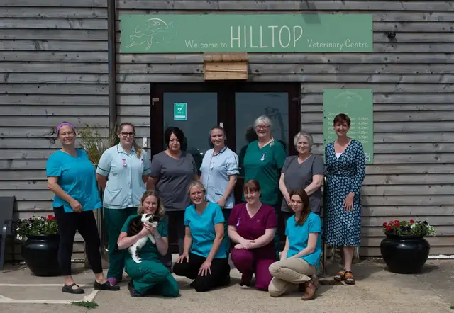 Staff at Hilltop vets Oxford