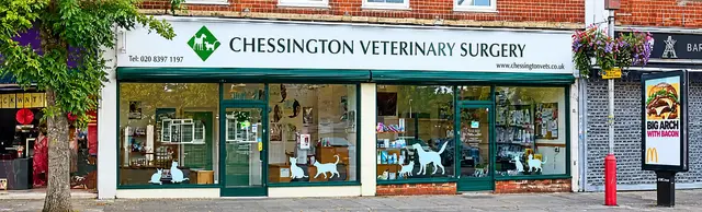 Chessington Veterinary Surgery practice photo