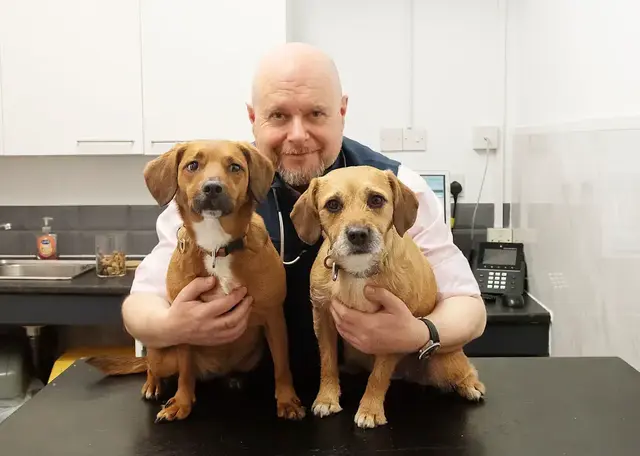 Pike Moor Vets practice photo