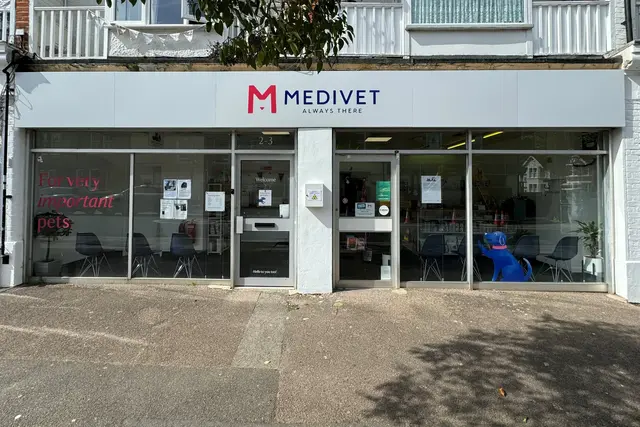 Medivet - Teddington practice photo