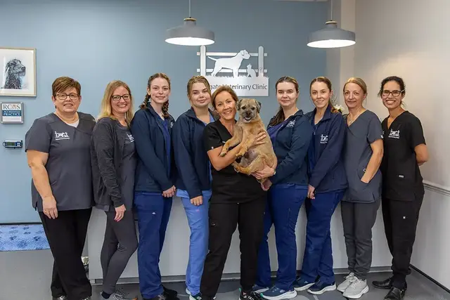 Highgate Veterinary Clinic practice photo