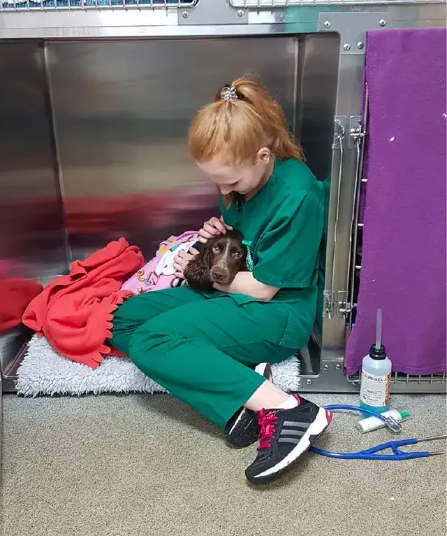 A+G Vets Nurse