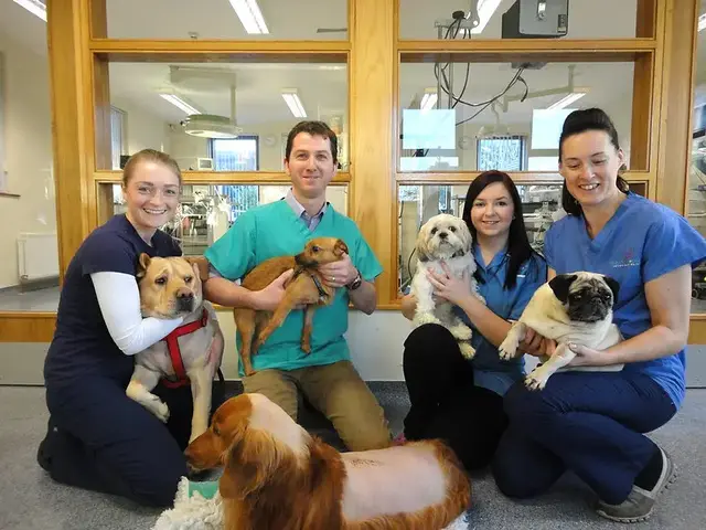 VetOrtho Referrals - Portadown practice photo