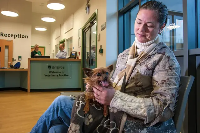 owner with pet in the veterinary practice