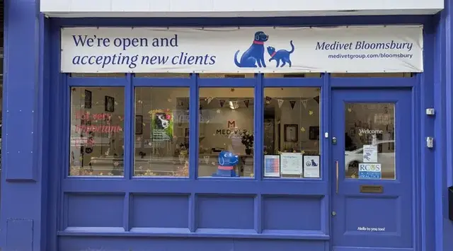 Medivet - Bloomsbury practice photo
