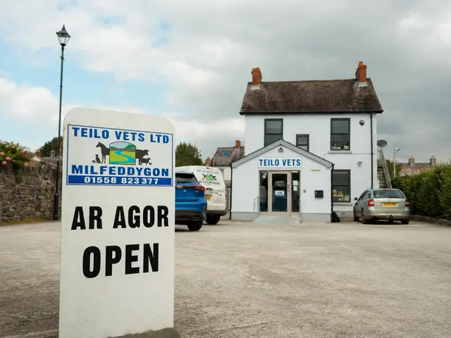 Vets Llandeilo