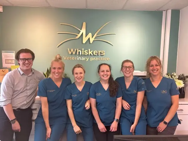 Whiskers Vets practice photo