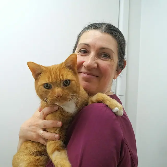 Oxford Cat Clinic - Botley practice photo 3