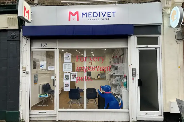 Medivet - Stroud Green practice photo