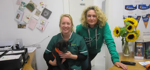 Newquay Vet practice photo
