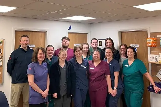 Medivet - 24 hour Wokingham (Kynoch Vets) practice photo