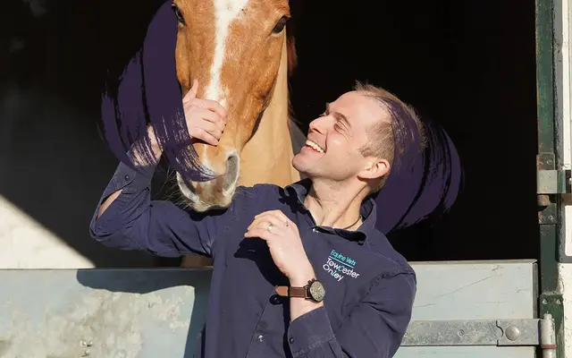 Towcester Vets - Paulerspury practice photo