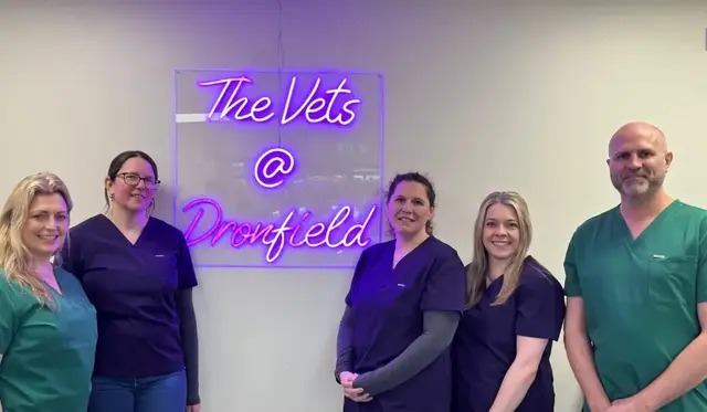 The Vets @ Dronfield practice photo