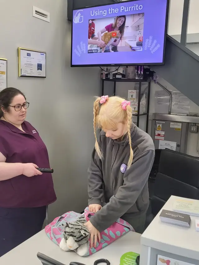 Graylands Cat Clinic practice photo
