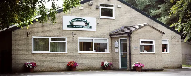 Bishopton Vets - Easingwold practice photo