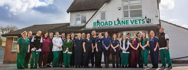 Broad Lane Vets practice photo