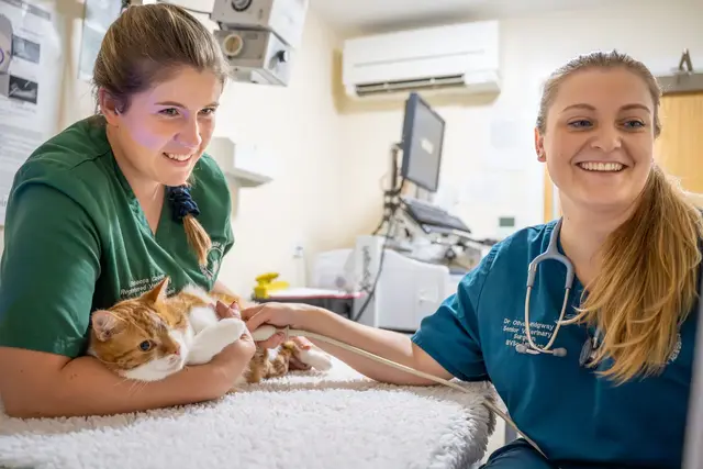 Willows Veterinary Group - Winsford (Web) 022