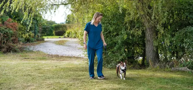 Rowan Veterinary Centre practice photo