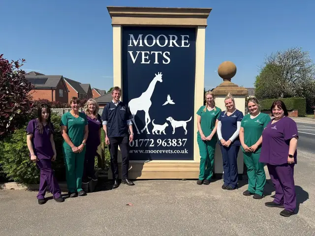 Moore Vets practice photo