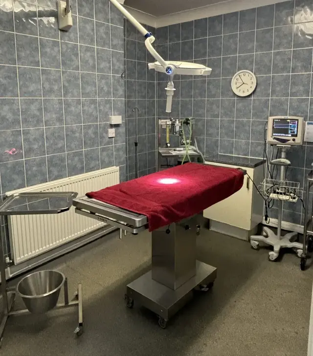 Anwell Veterinary Centre - Caterham practice photo 2