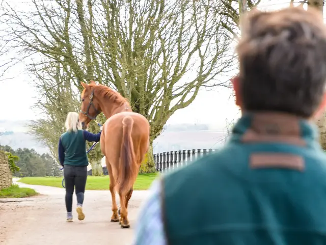 Summerhill Equine Vets practice photo