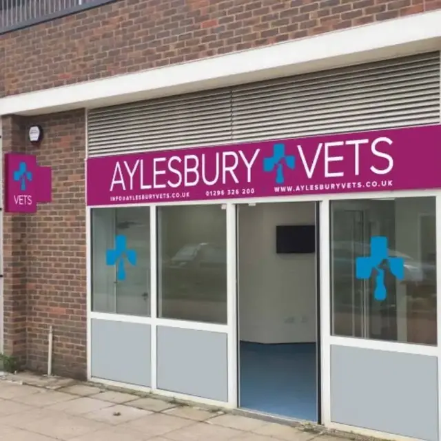 Aylesbury Vets practice photo