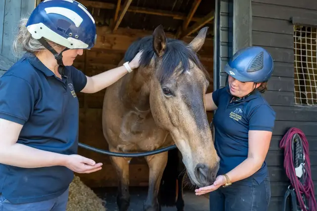 Scott Dunn's Equine Clinic practice photo 5