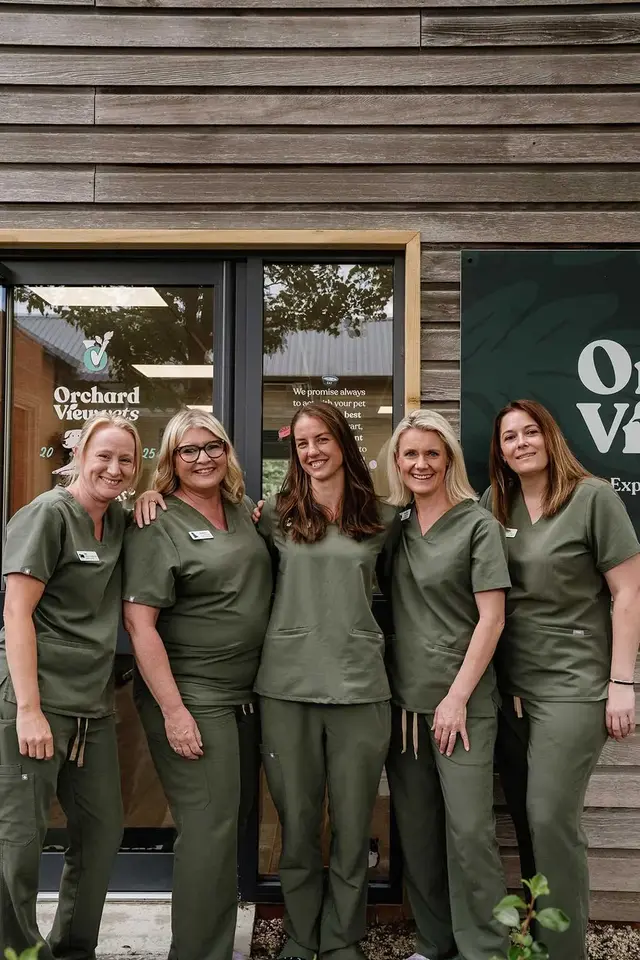Orchard View Vets practice photo