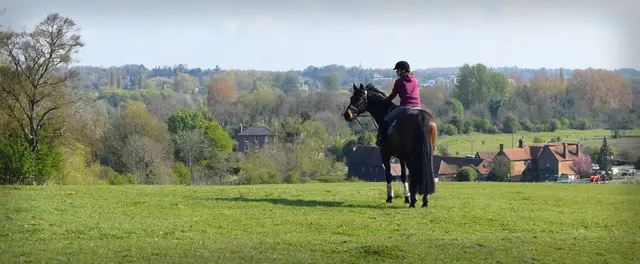 AR Equine Vets practice photo