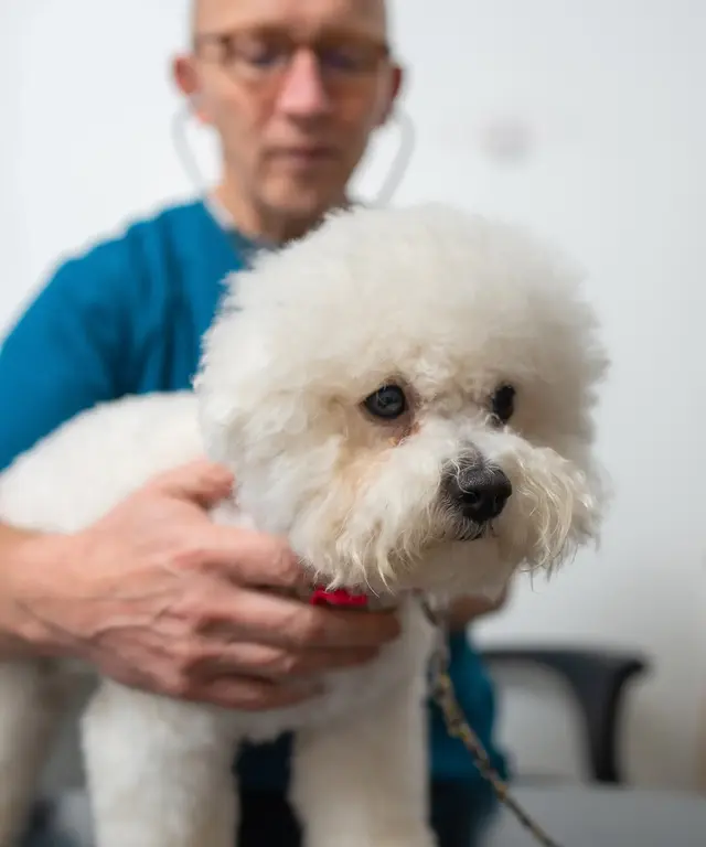 Cornerstone Veterinary Clinic practice photo 3