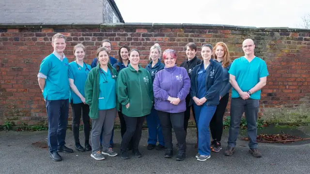 the team at ashcroft vets