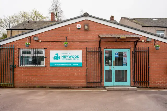 Heywood Vets practice photo