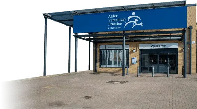 Alder Veterinary Practice tour