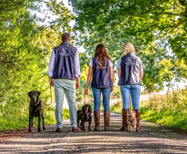Tattenhall Vets Cheshire hero image of the team and they dogs