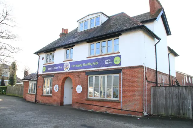 Beech House Vets - Hersham practice photo