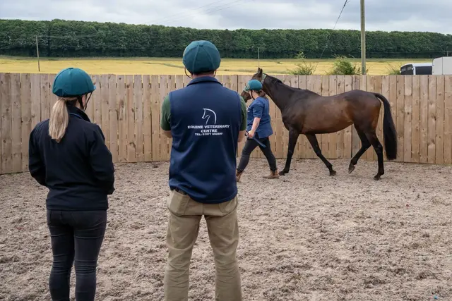 Equine Veterinary Centre practice photo 3