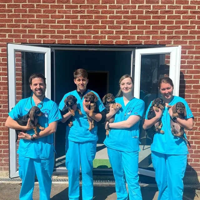 Noah's Ark Pet Clinic practice photo