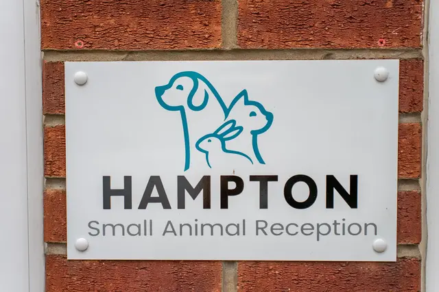 The Willows Veterinary Group - Hampton (Web) 045
