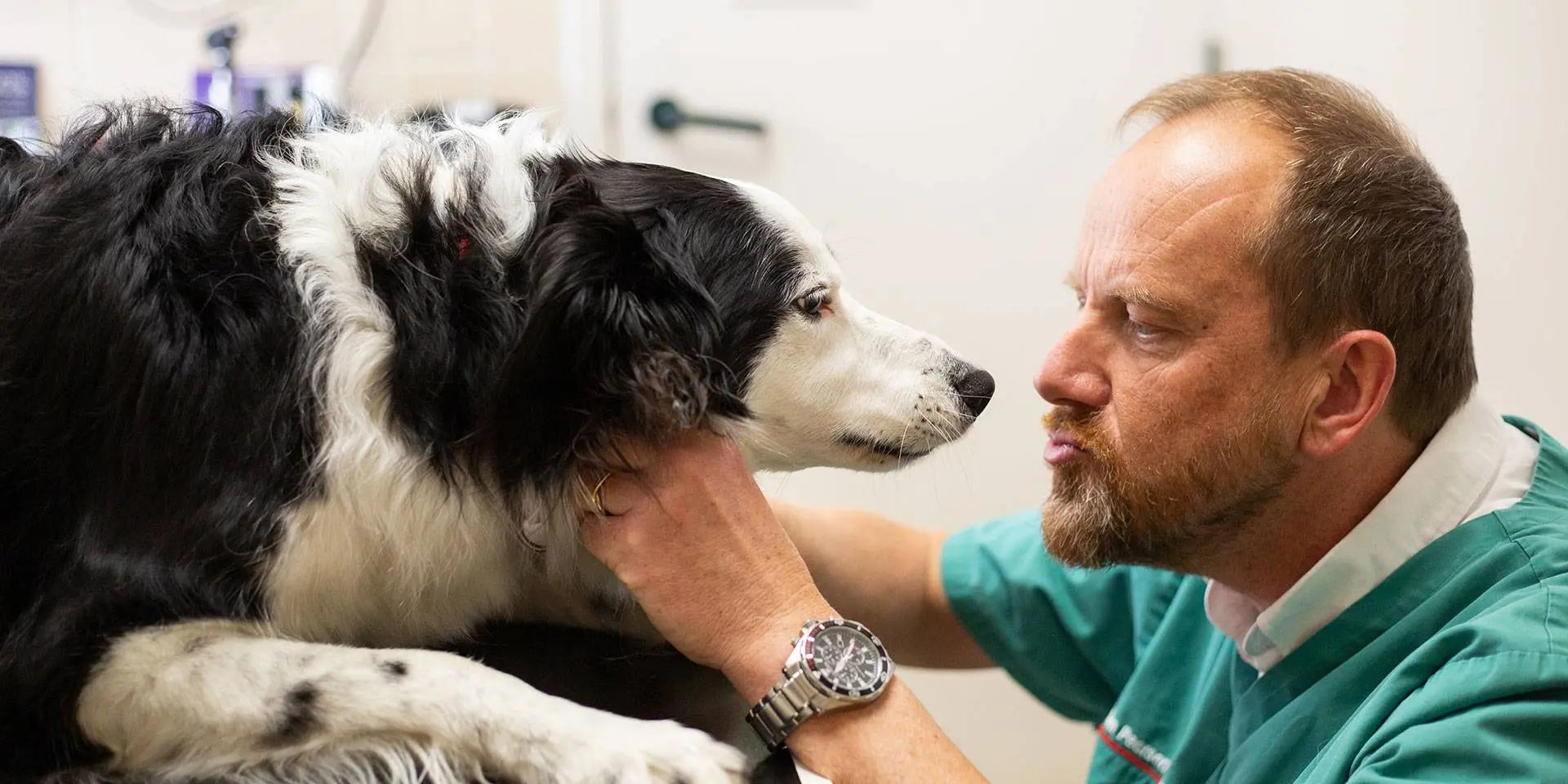 Orchard House Veterinary Centres practice photo 4