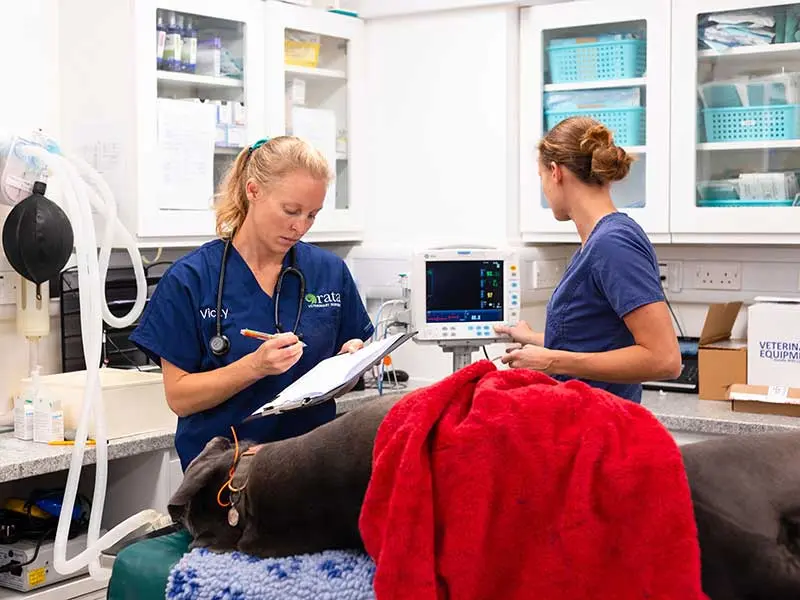 Brookfield Vets practice photo 3