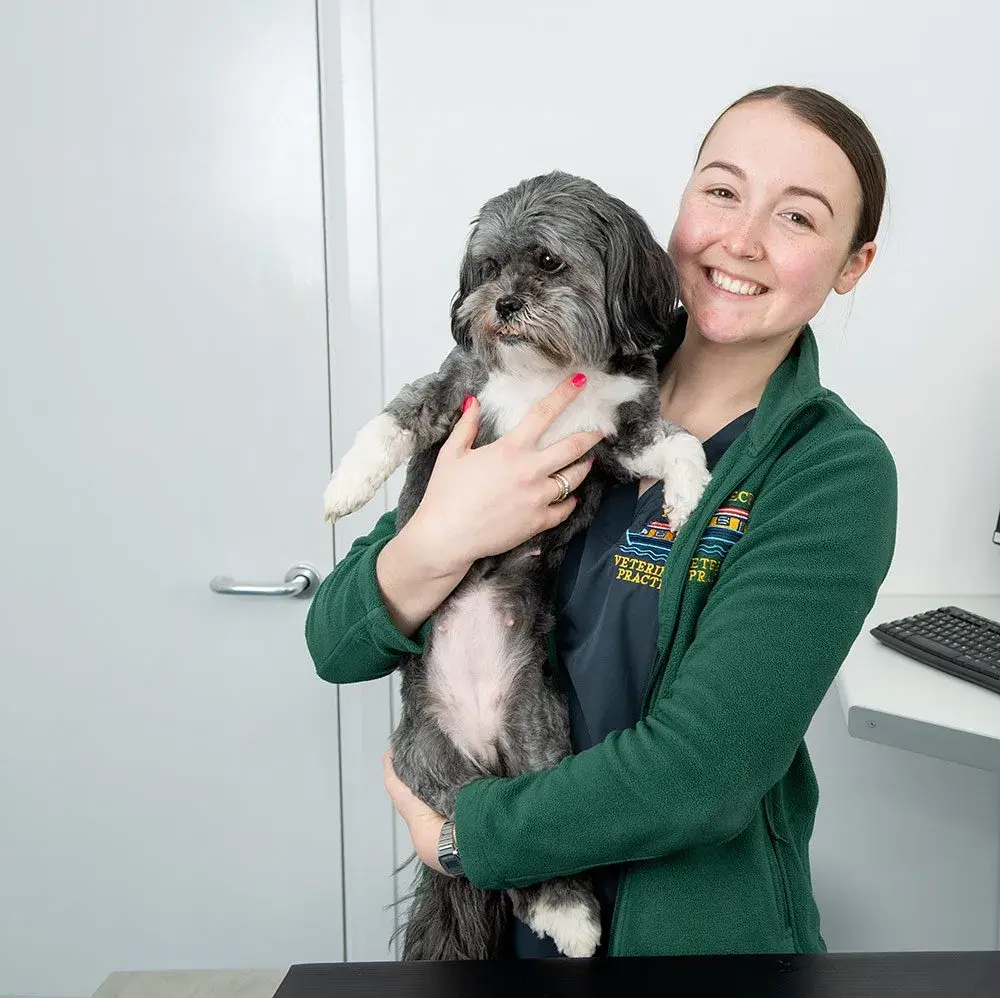 Whitby Veterinary Centre practice photo