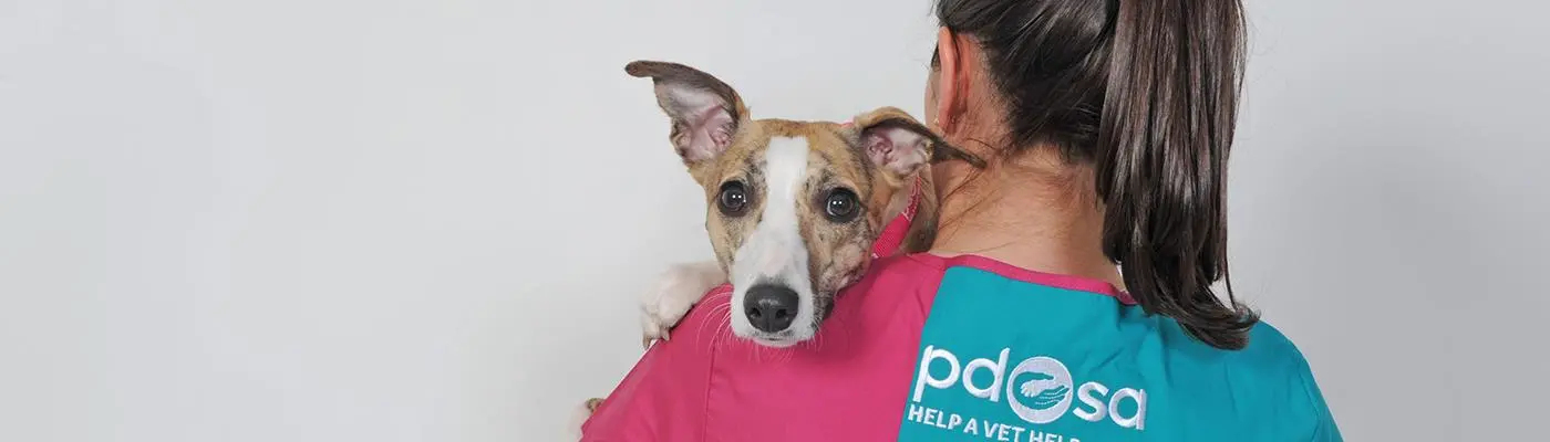 PDSA practice photo