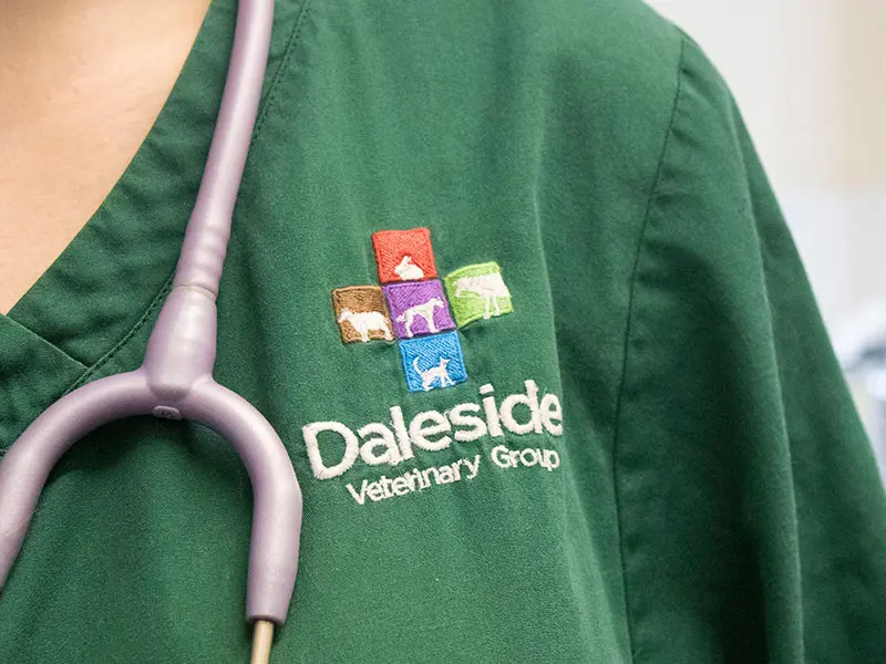 Daleside Vets practice photo 3