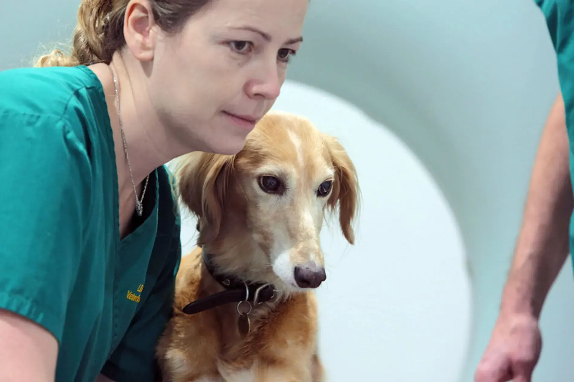 Millennium Veterinary Practice practice photo