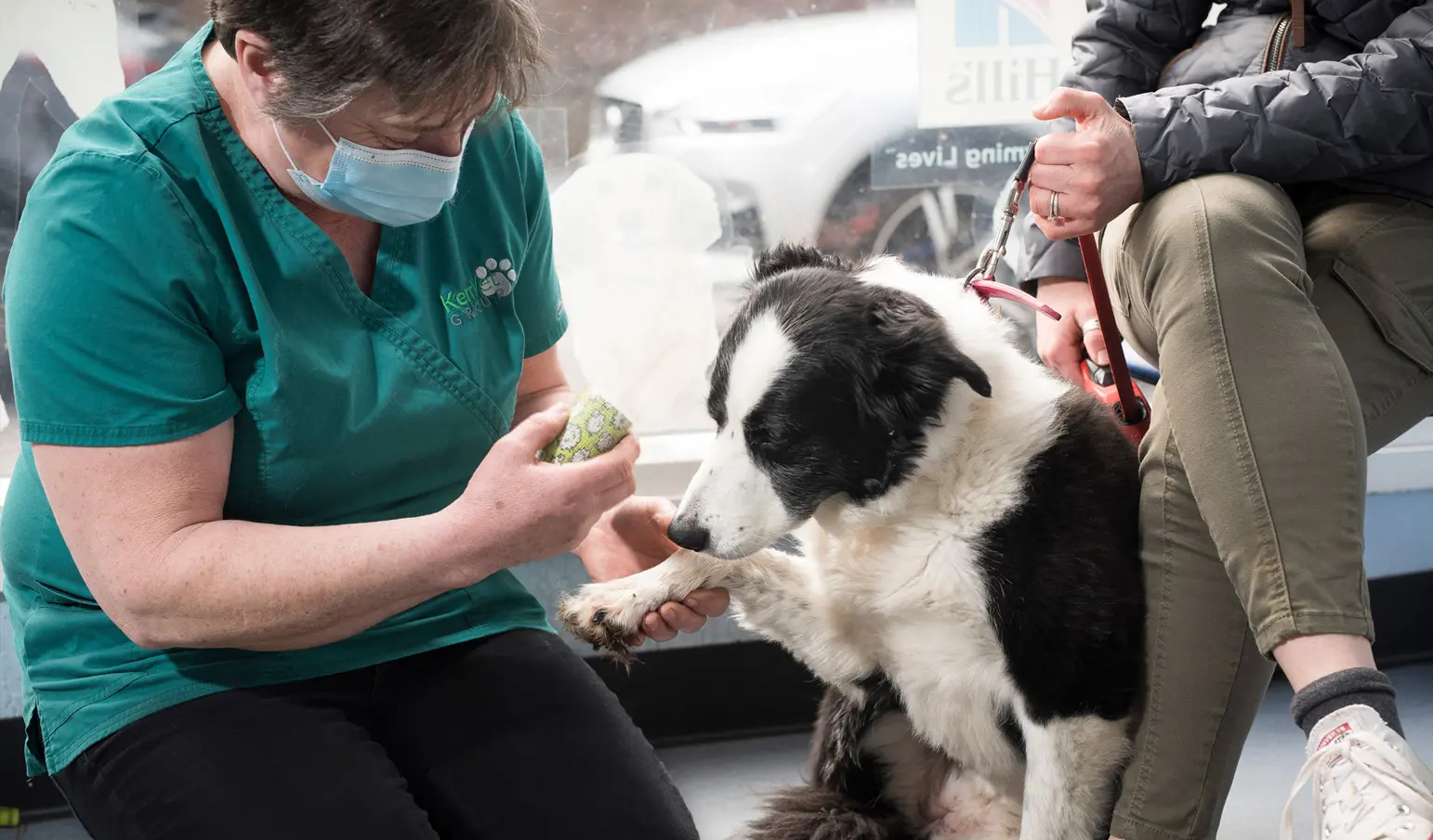Kerr Veterinary Group practice photo