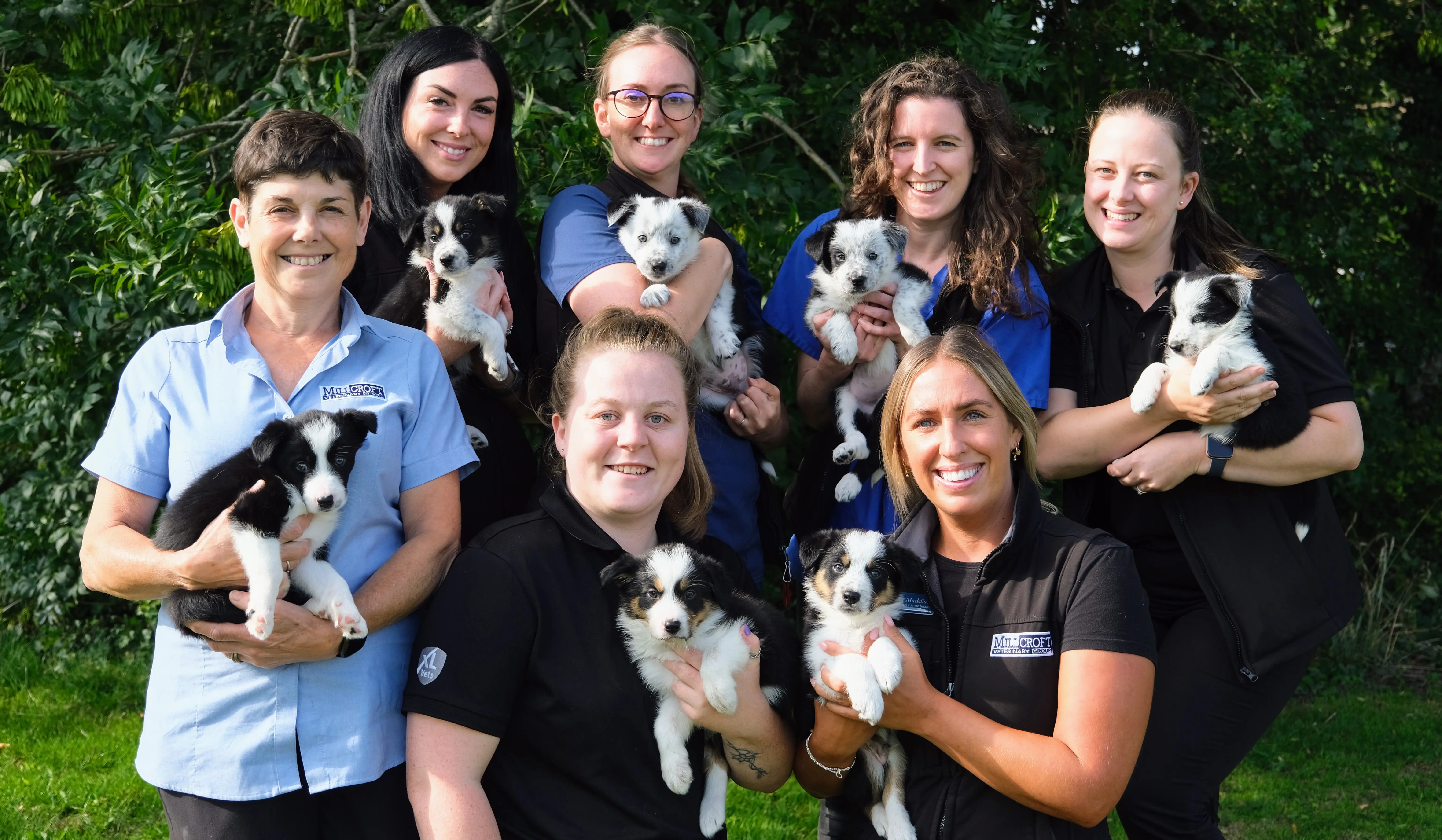 Millcroft Veterinary Group practice photo