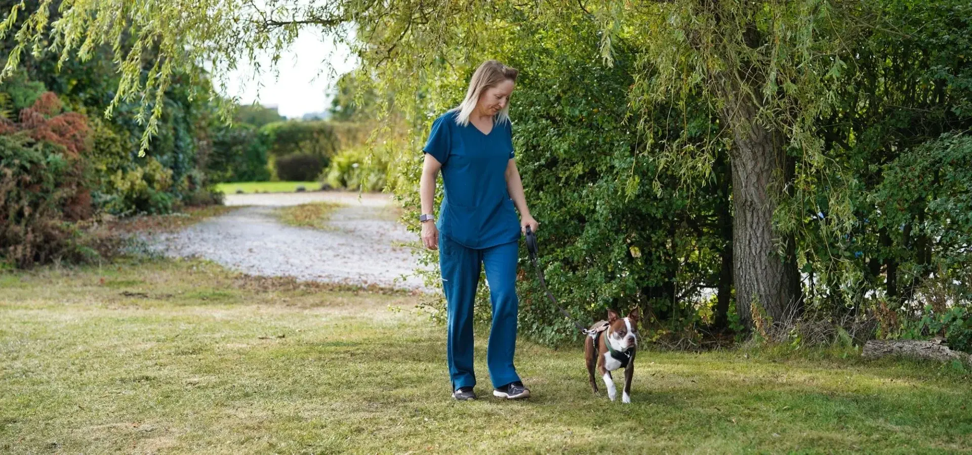 Rowan Veterinary Centre practice photo